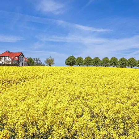 Prázdninový dům Zweizeh