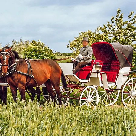 Zweizeh Prázdninový dům *